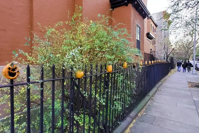 Shriveled pumpkins impaled on a wrought iron fence in Cobble Hill.